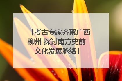 考古专家齐聚广西柳州 探讨南方史前文化发展脉络